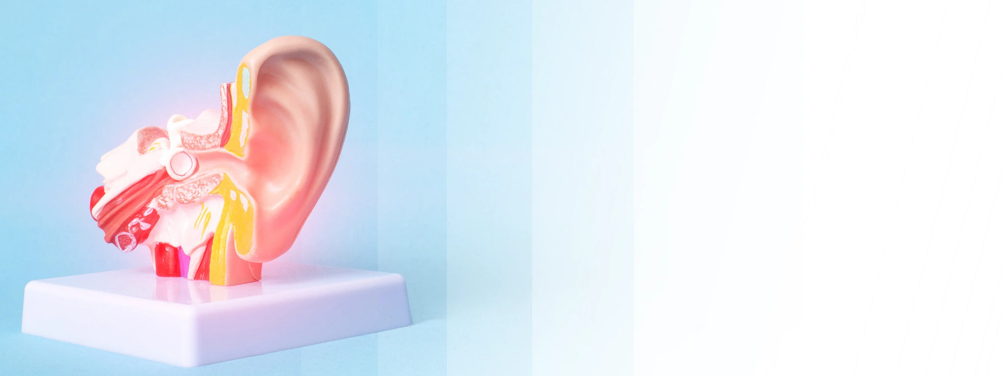 Tone Down the Ringing: Tinnitus Relief with Explore Li+ Hearing Aids