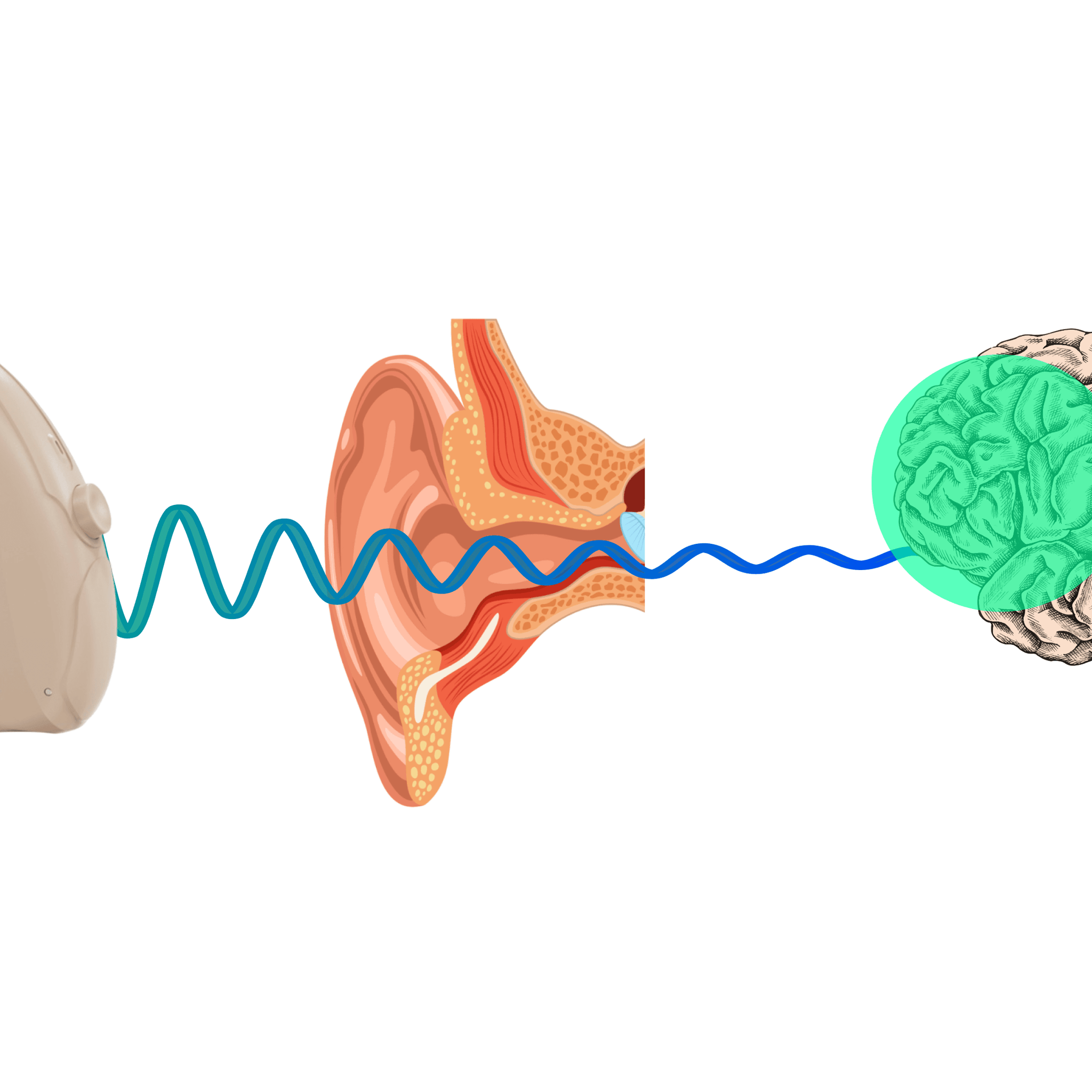 Unlocking the Connection Between Hearing Aids and Cognitive Health